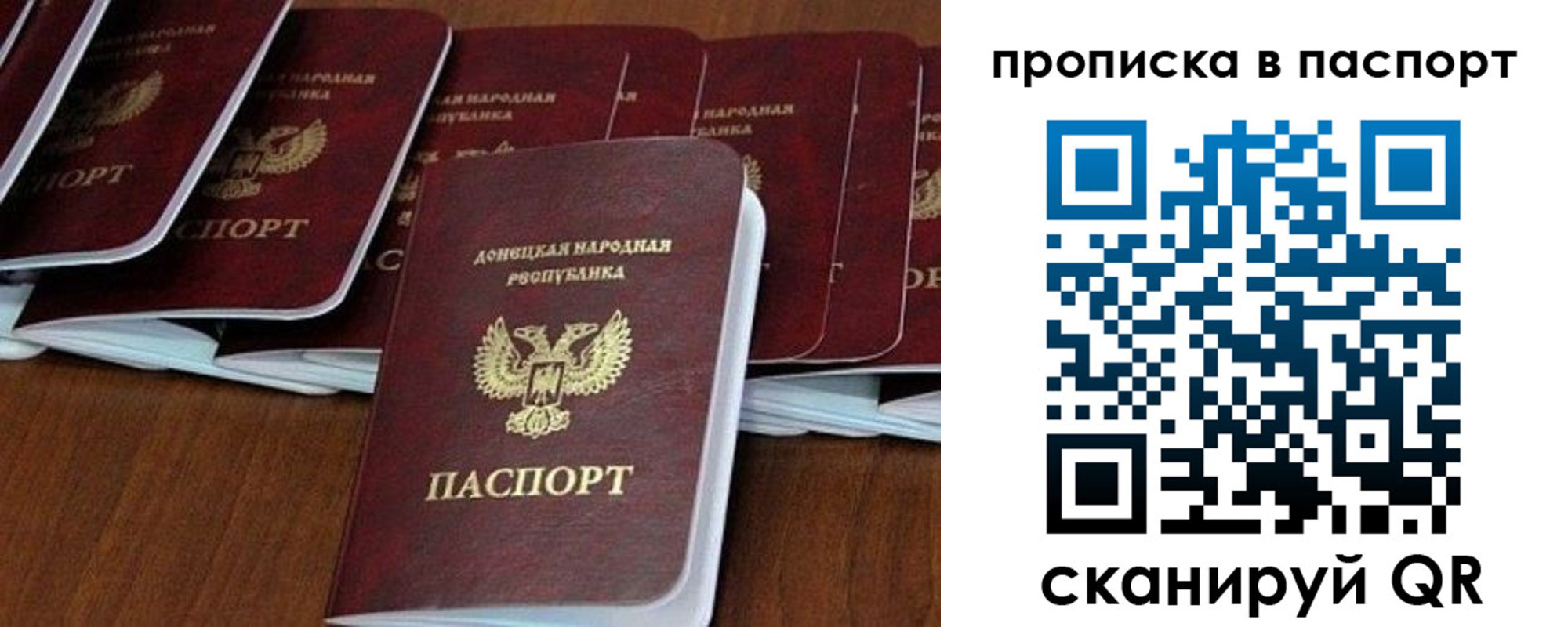 прописка для школы в Михайловке